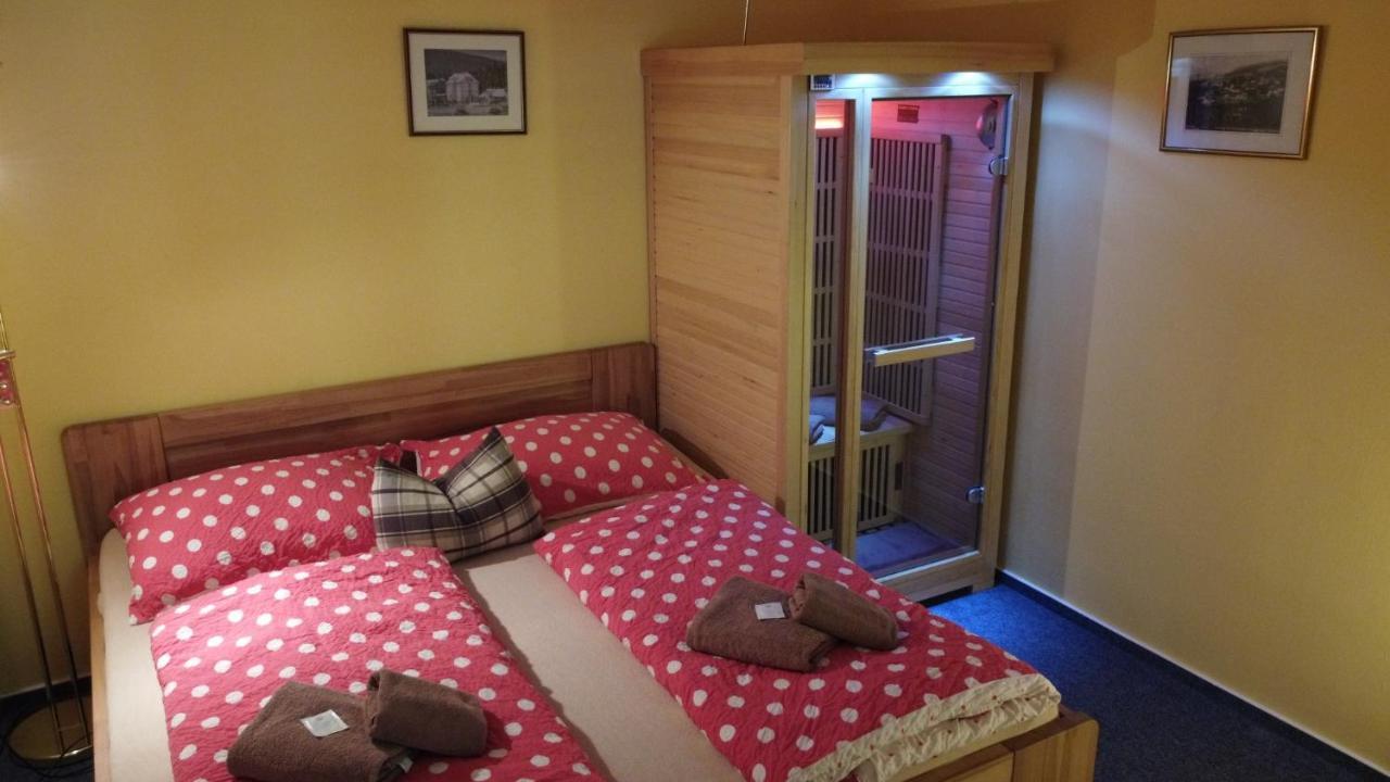 Železná Ruda Pension Aura Spicak, Nektere Pokoje Se Saunou מראה חיצוני תמונה